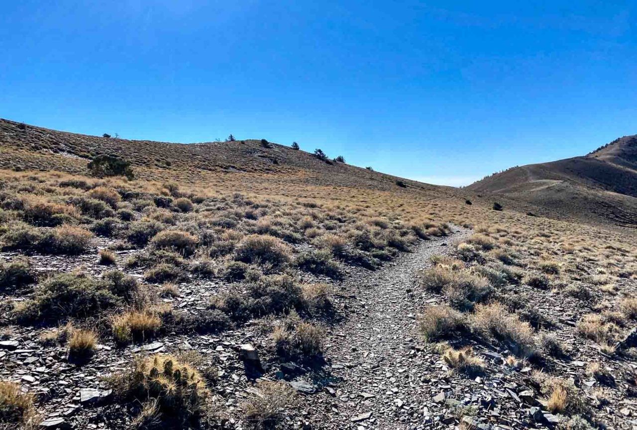 The flat stretch of the hike