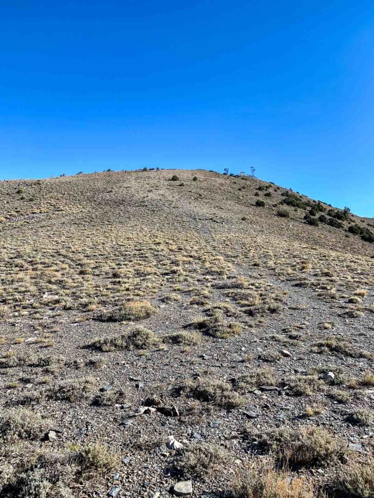 Looking up at Rogers Peak from Arcane Meadow