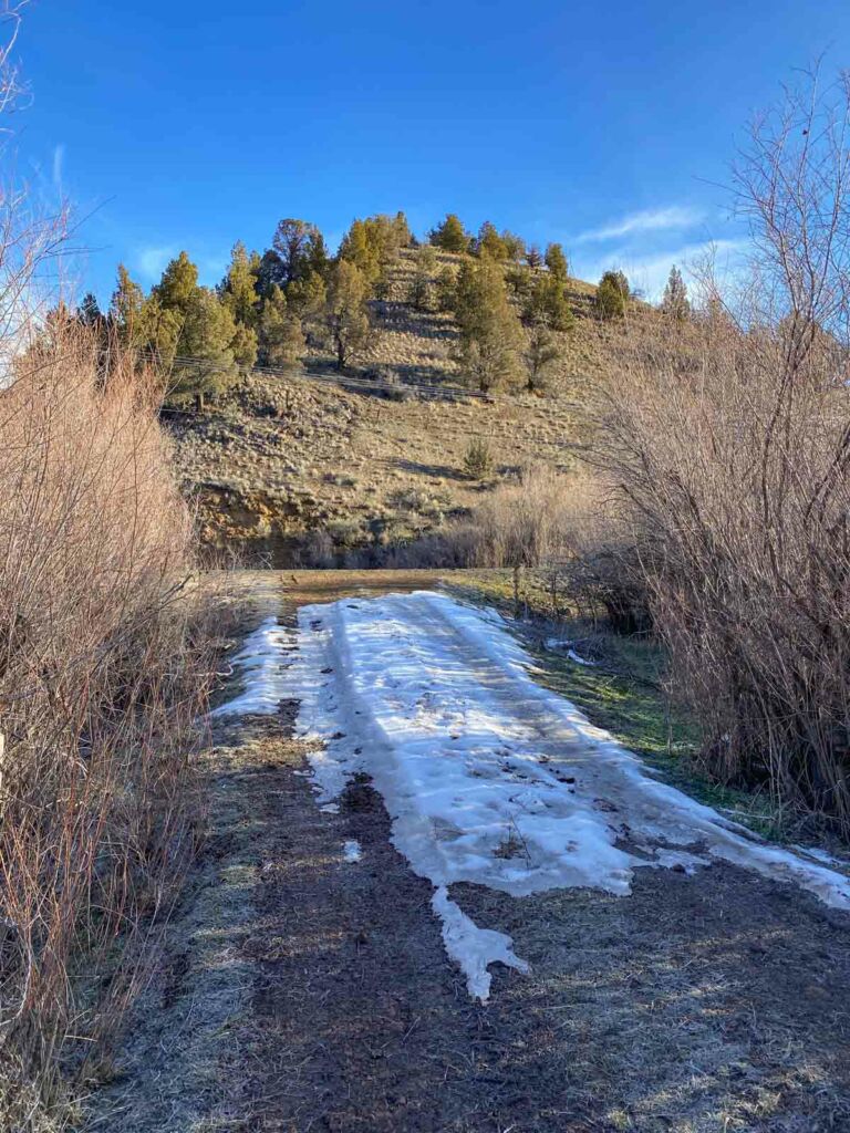 The dirt road from Highway 207