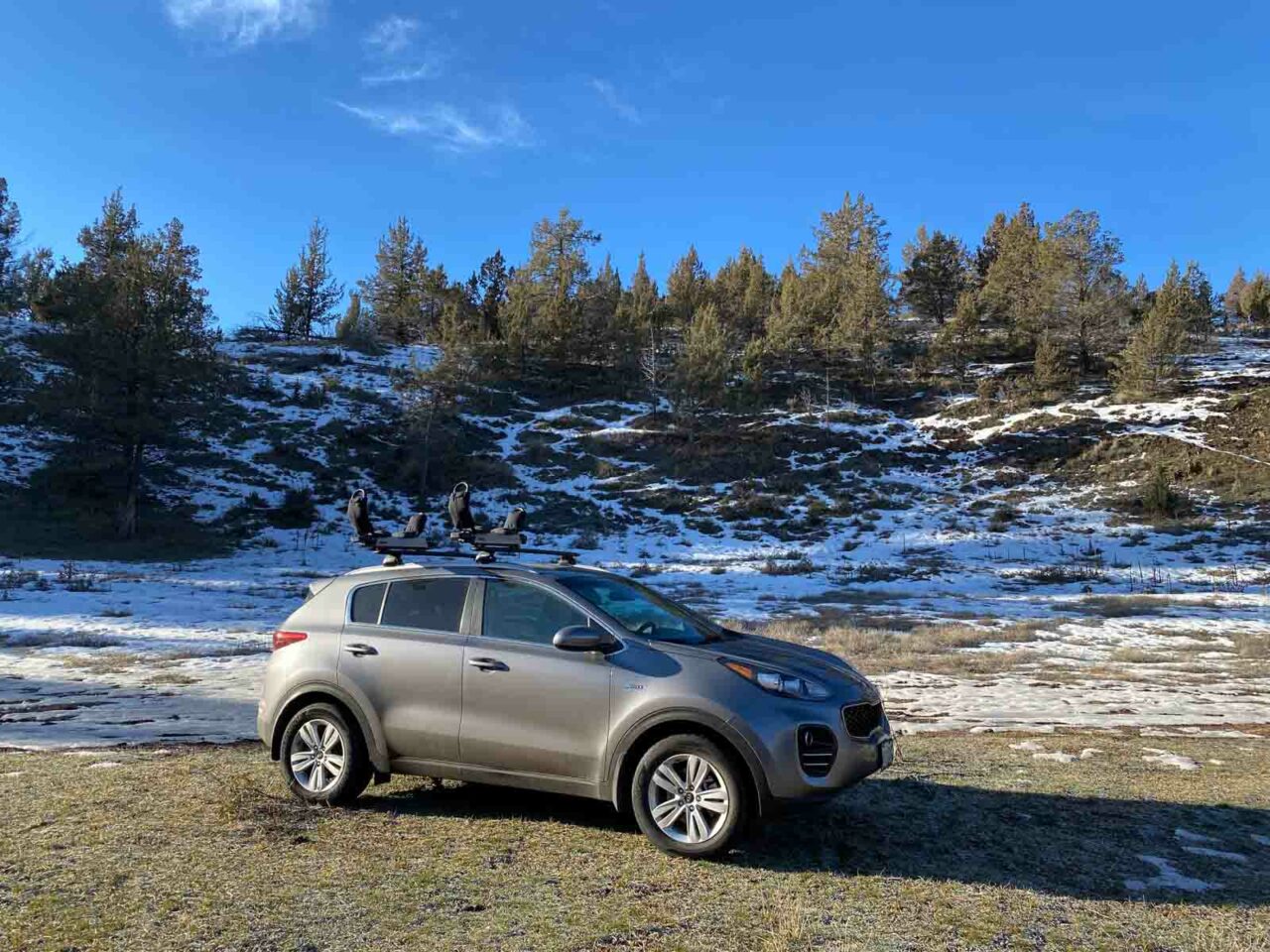 Flat grassy trailhead parking
