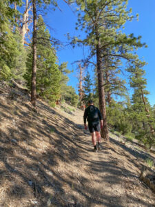 Hiking Bonanza Peak in the Spring Mountains National Recreation Area - SoCal Hiker