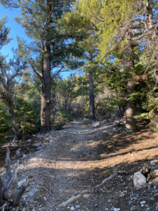 Hiking Bonanza Peak in the Spring Mountains National Recreation Area - SoCal Hiker