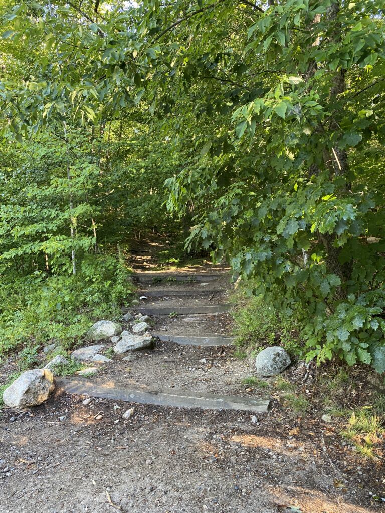 Beginning of the trail