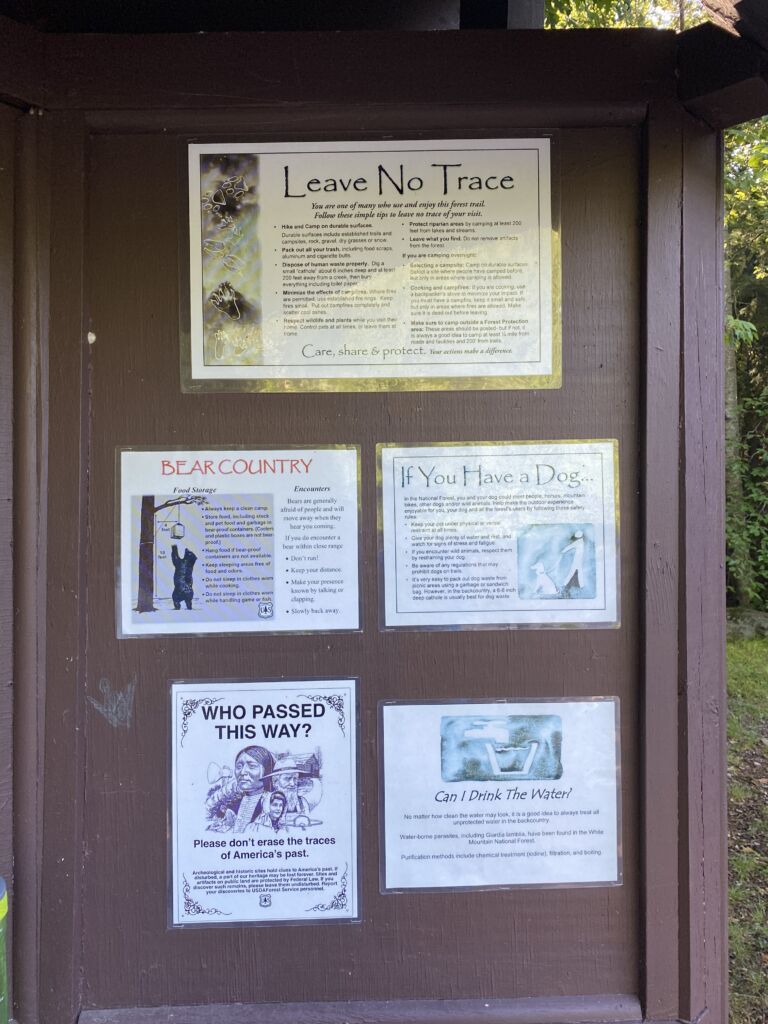 LNT, dogs and other considerations