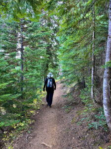 Wooded and shady for a minute